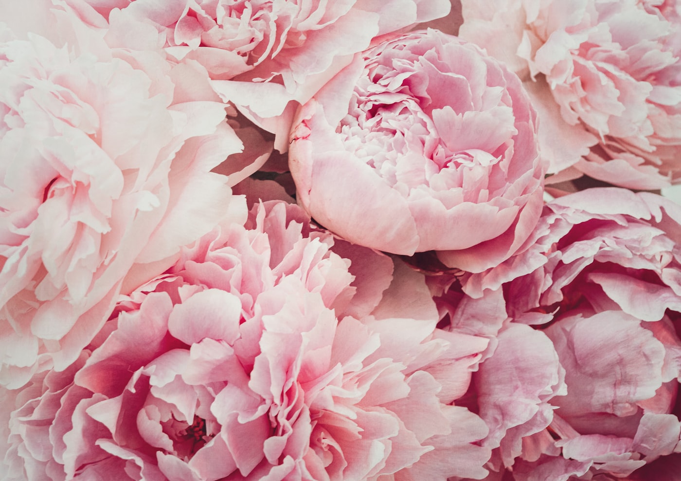 Arreglo floral D'Carlos Deluxe